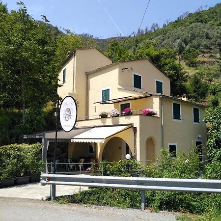 レヴァント Il Ghiro Bed & Breakfast エクステリア 写真