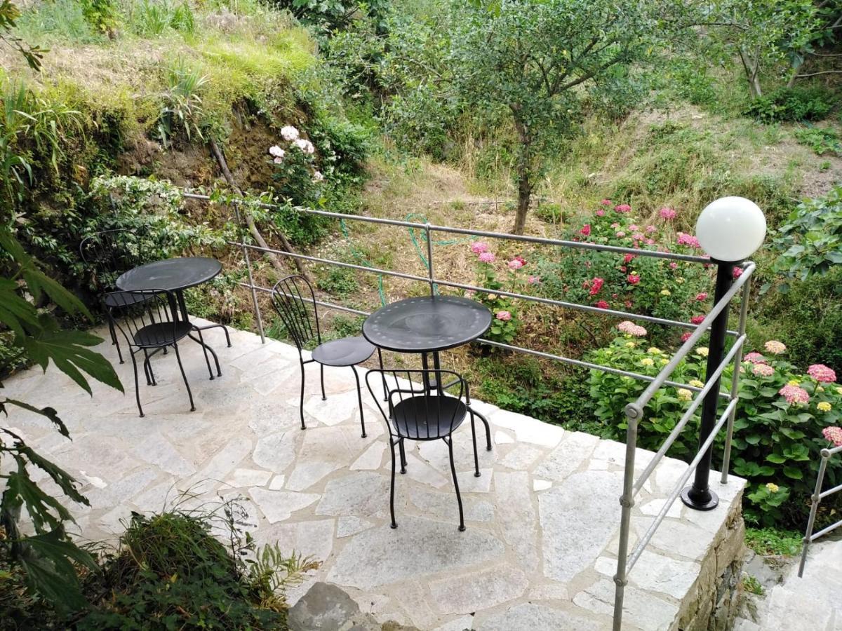 レヴァント Il Ghiro Bed & Breakfast エクステリア 写真